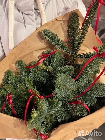 Ель букет из нобилиса