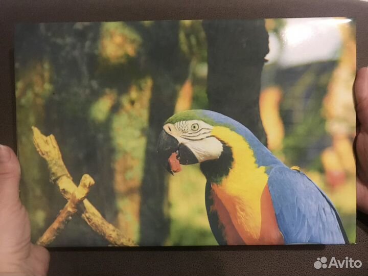 Керамическая плитка с любым изображением