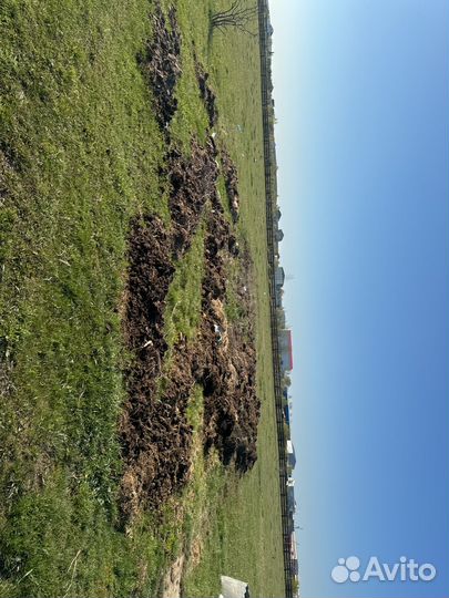 Навоз коровий самовывоз