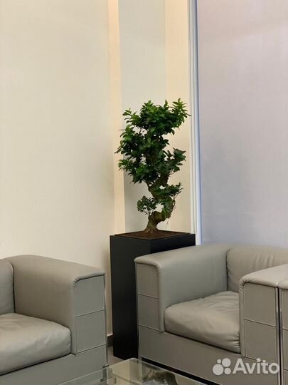 Производство кашпо из стеклопластика. Любые формы