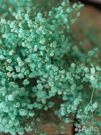 Цветы дизайн