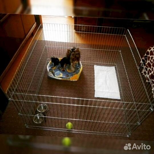 Вольер для собак