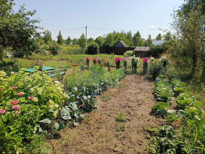 Участок 12 сот. (СНТ, ДНП)