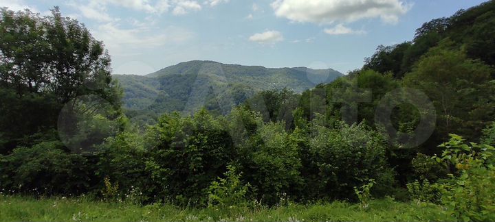 Участок 9,9 сот. (СНТ, ДНП)