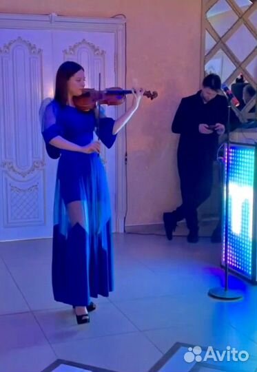 Скрипач на праздник, живая музыка