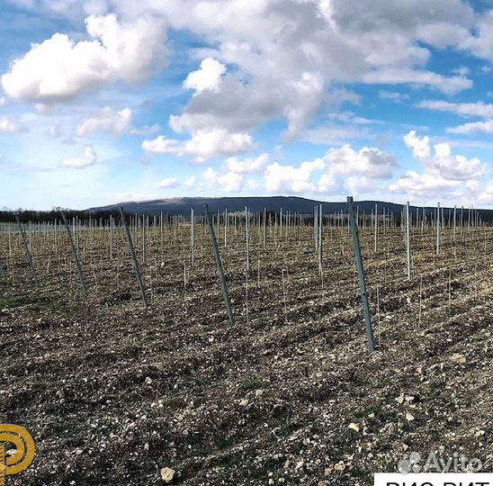 Опоры для винограда, колышки для растений 7 мм