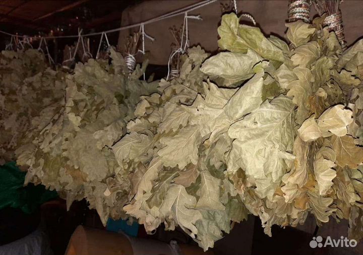 Веники дубовые