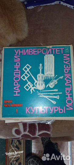 Виниловые пластинки