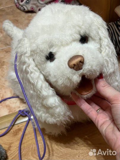 Интерактивная собака на поводке hasbro FRF GoGo