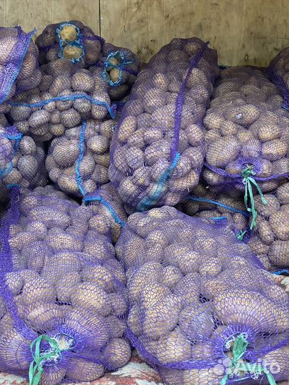 Продам картофель, цена 18