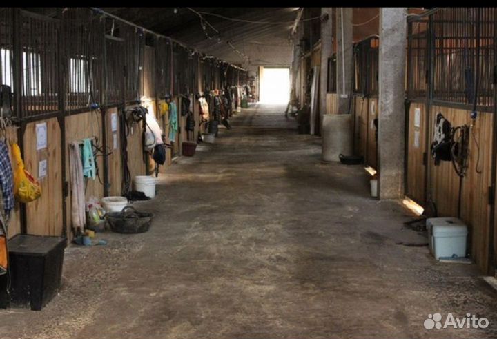 Постой для лошадей