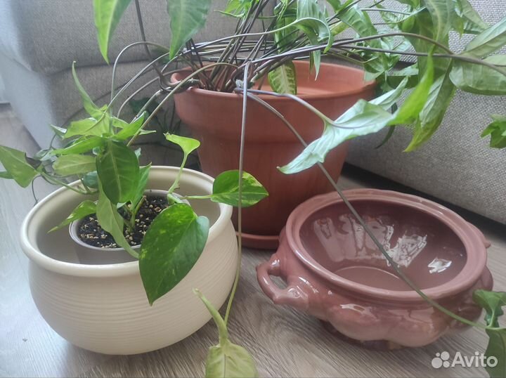 Горшок для цветов кашпо глина керамика