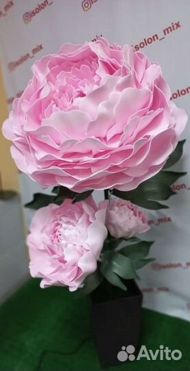 Ростовой пион с подсветкой