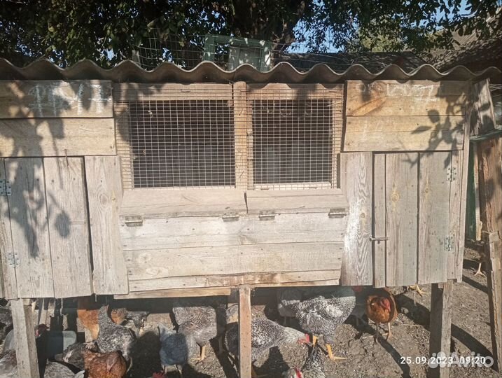 Клетка для кролика