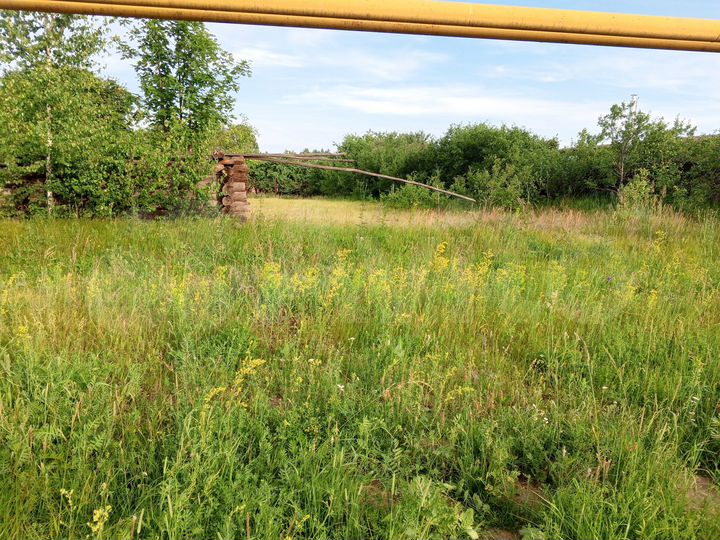 Участок 8 сот. (СНТ, ДНП)