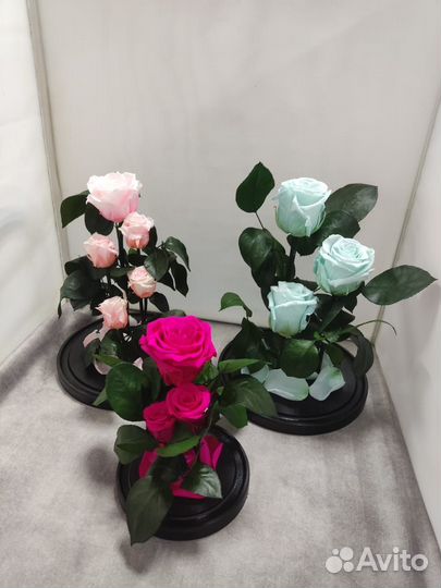 Вечная роза в колбе