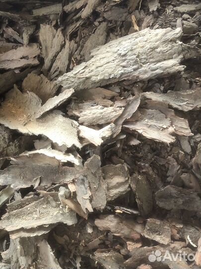 Кора сосновая