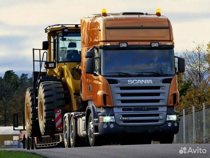 Услуги Трала