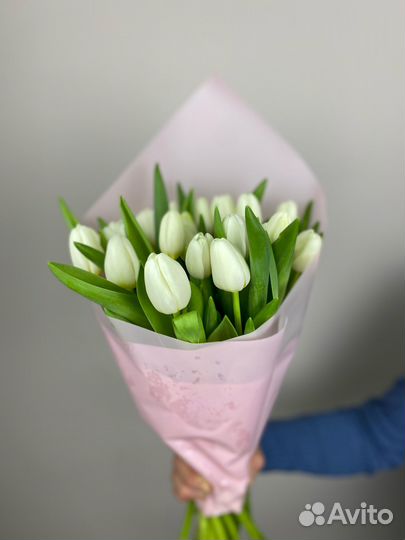 Букет из белых тюльпанов 25 шт в упаковке