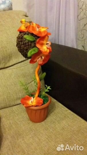 Топиарии на заказ