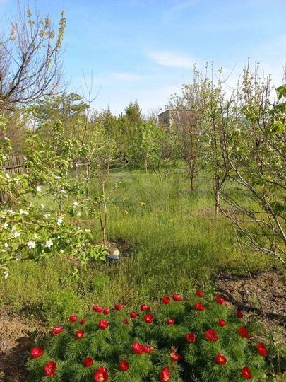 Дача 10 м² на участке 7 сот.