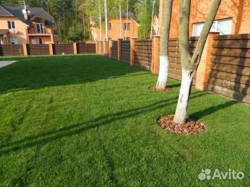 Укладка рулонного газона