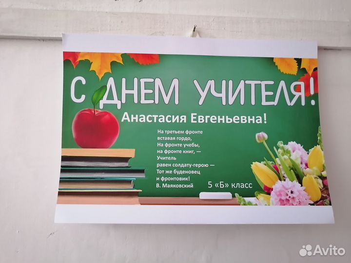 Репетитор по истории, обществознанию