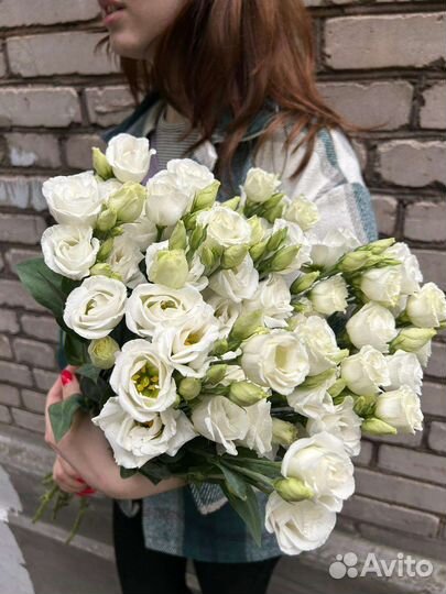 Белая эустома (Лизиантус)