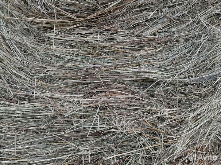 Сено в рулонах