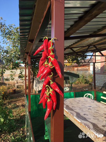 Ретрит в Самарской области, аренда дома