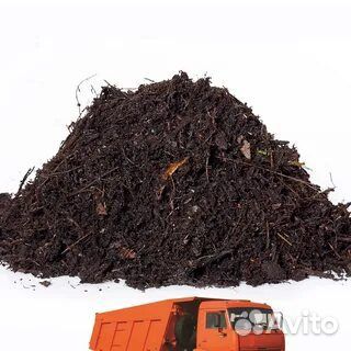 Грунт для подсыпки кустарников и деревьев