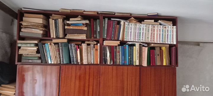 Книги и виниловые пластинки
