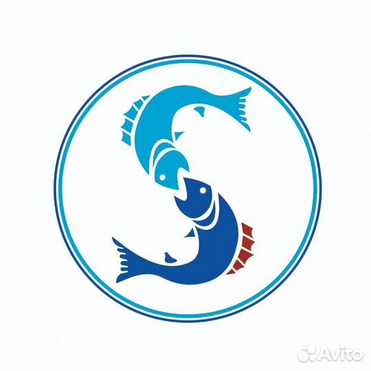 Водитель экспедитор (В,С)
