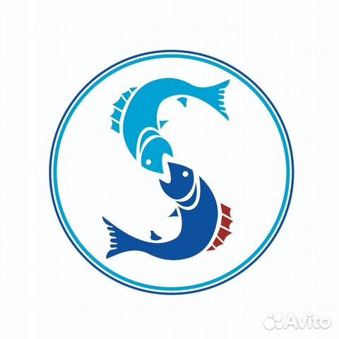 Водитель экспедитор (В,С)