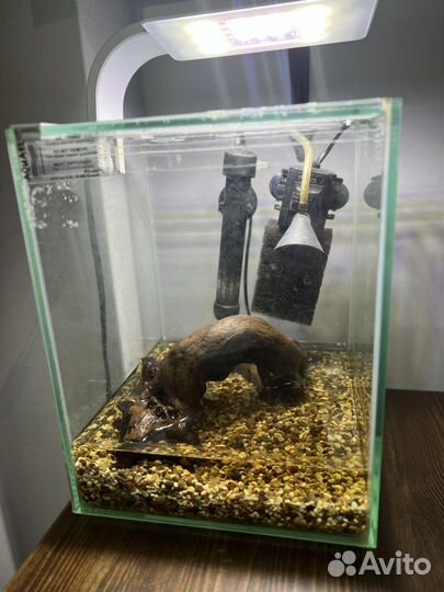 Аквариум aquael