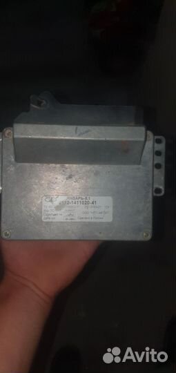 Мозги январь 5