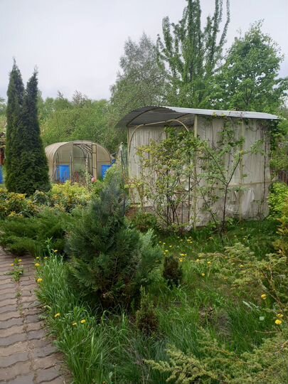 Дача 51,2 м² на участке 6 сот.