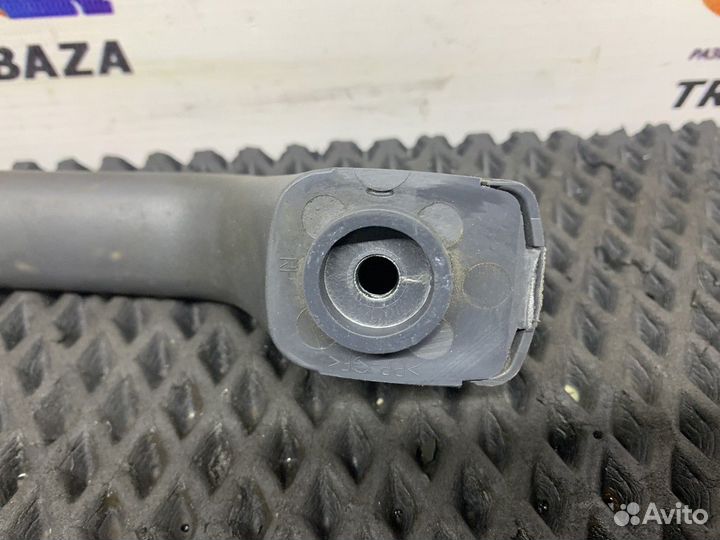 81629305172 Ручка внутренняя потолочная