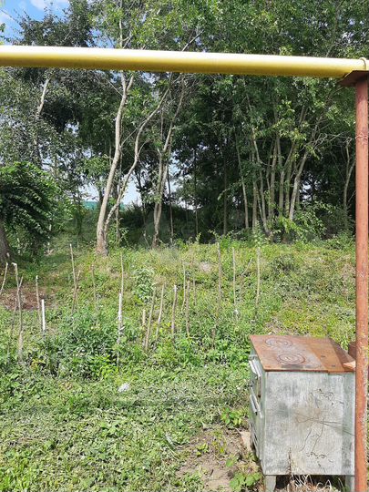 Дом 136 м² на участке 10 сот.