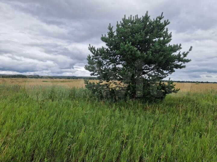 Участок 10 га (СНТ, ДНП)