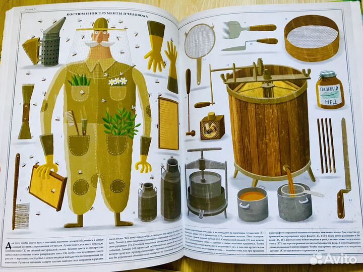 Пчёлы Пётр Соха Деревья, Без ума от акул