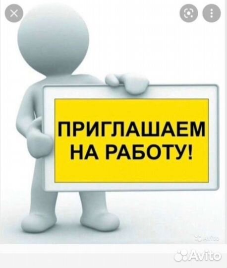 Счетчик ревизор