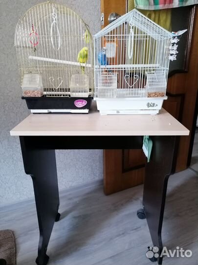 Попугаи вместе с клеткой