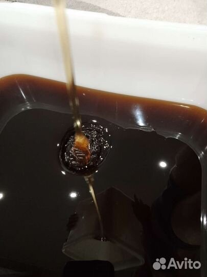 Мед с Алтая