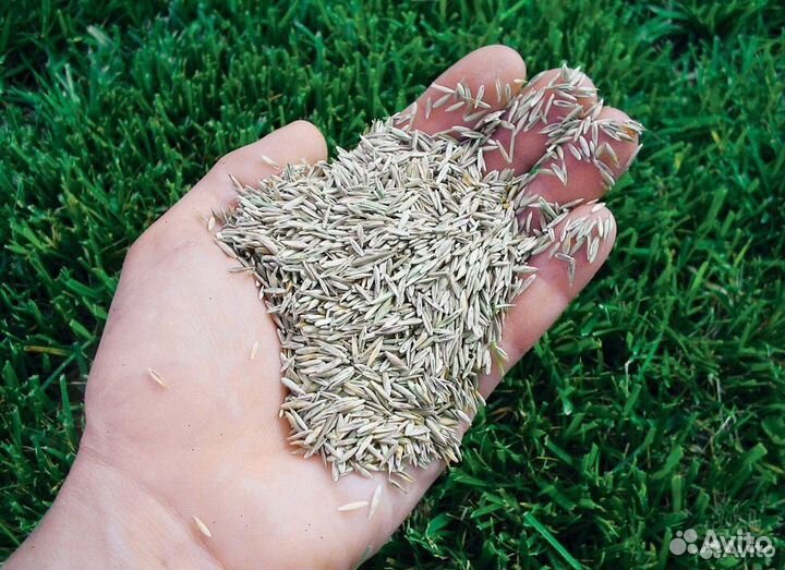 Травосмеси 10кг