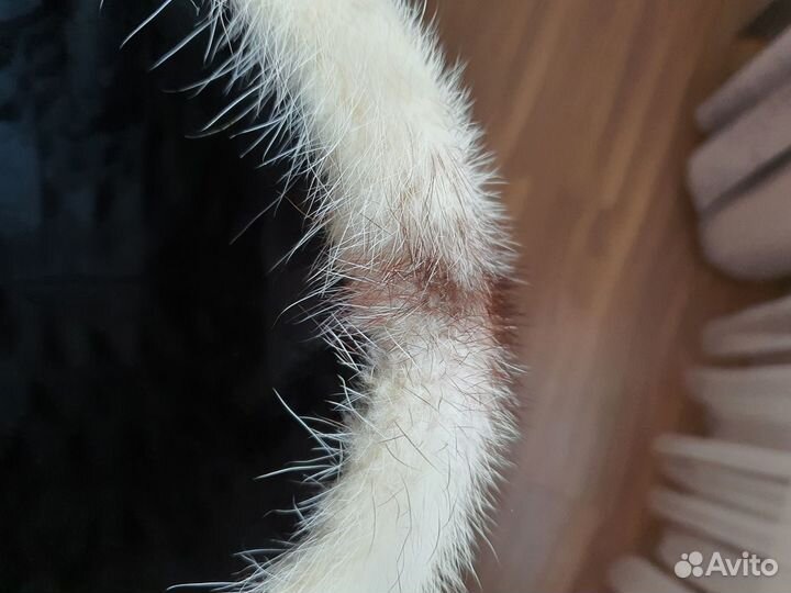 Шапка норковая женская