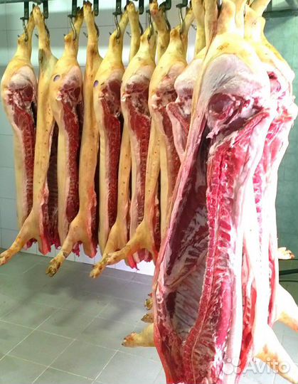 Мясо свинины в п/тушах охл. Беспл. доставка по Рзн