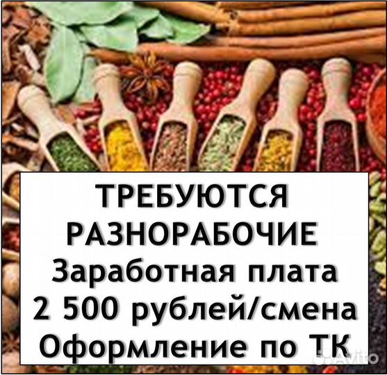 Разнорабочие