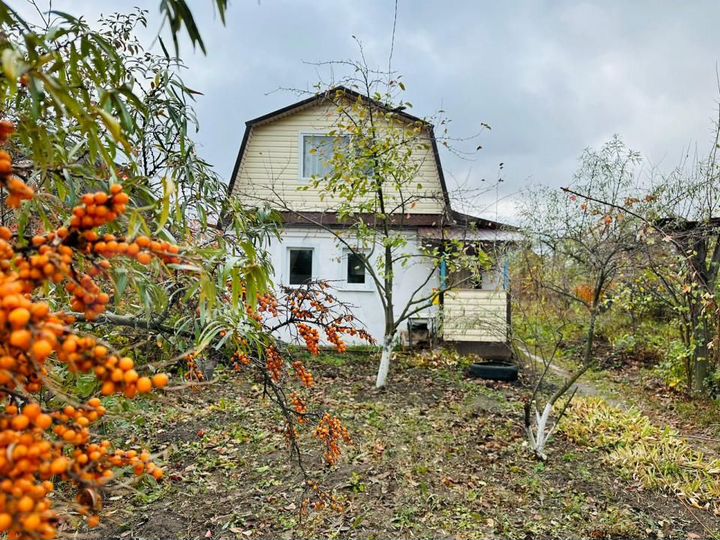 Дача 45,4 м² на участке 3,8 сот.