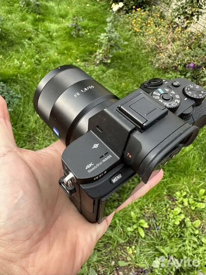 Sony A7S ii + Sony Carl Zeiss 55 1.8